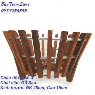 Chậu trồng lan bằng gỗ Sao mẫu chậu đứng số 3 Đường kính 28cm cao 15cm