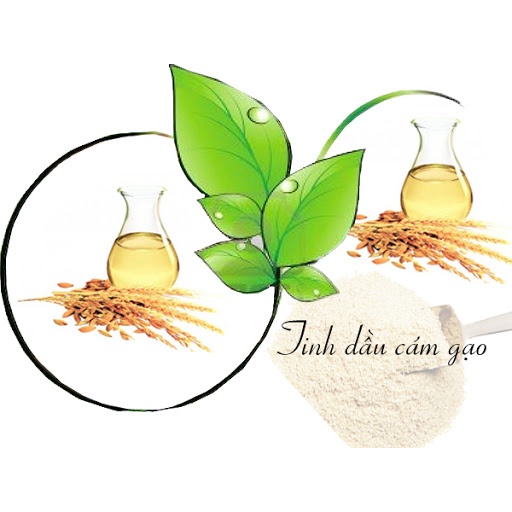 10ml Dầu Cám Gạo (Rice Bran Oil) - Nguyên Liệu Mỹ Phẩm Thiên Nhiên