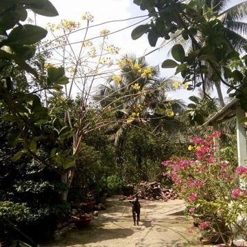 ccthuy0608