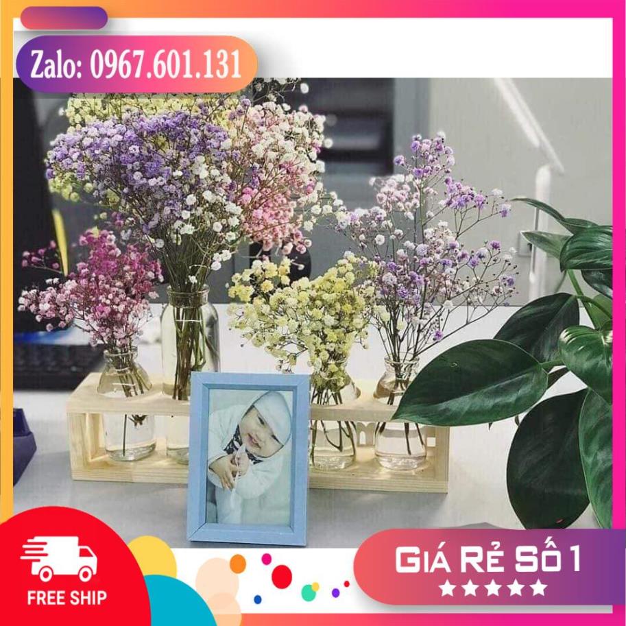 Bán giá gốc Kệ hoa kèm 5 lọ thủy tinh Home / Love