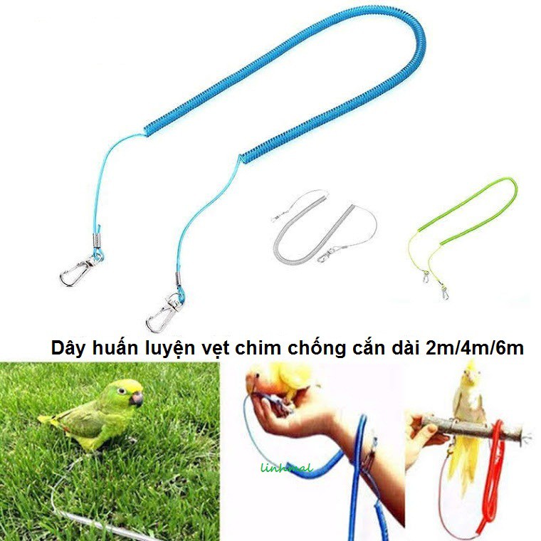 Dây bay lò xo cho vẹt chống cắn, chống bay