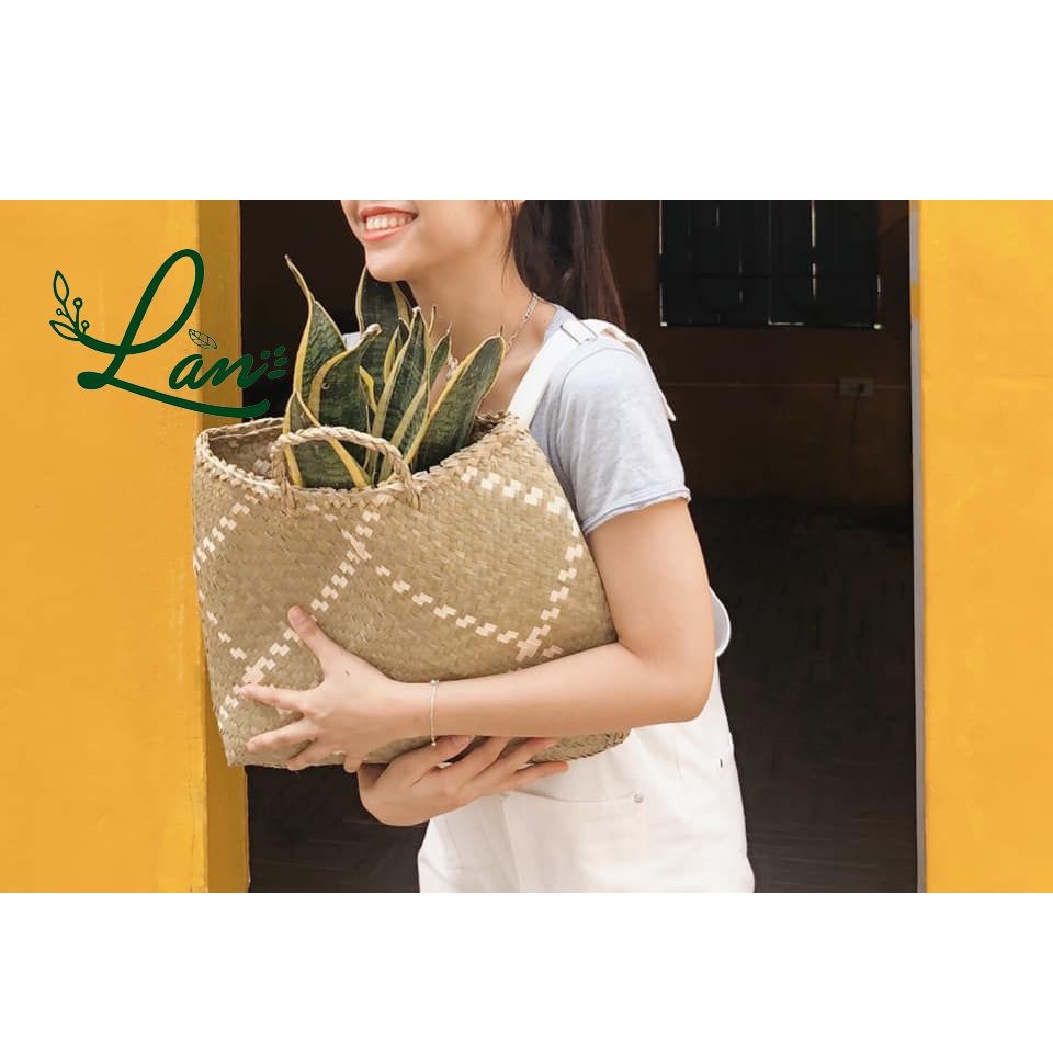 LÀN CỎ, Cửa hàng trực tuyến | BigBuy360 - bigbuy360.vn