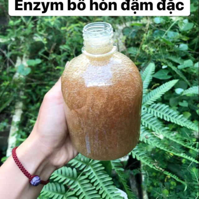 ENZYM BỒ HÒN ĐẬM ĐẶC