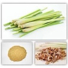 Bột sả nguyên chất dùng để ướp thịt, hải sản-Lemongrass ground