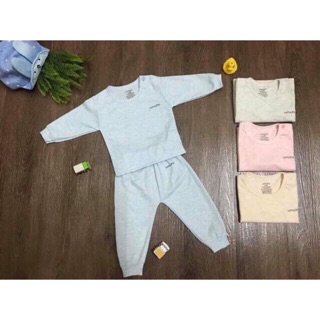 Bộ unchi mộc lan tím