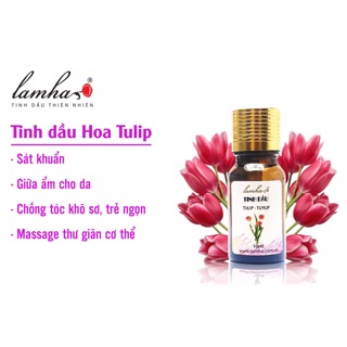 Tinh dầu hoa Tulip