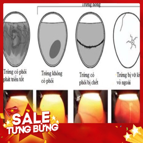 [Mã PET50 giảm 10% - tối đa 50K đơn 250K] [ GIẢM GIÁ ] Máy Ấp Trứng Ánh Dương+Đèn Pin Soi Trứng+ Gói Úm Cho Gà Con