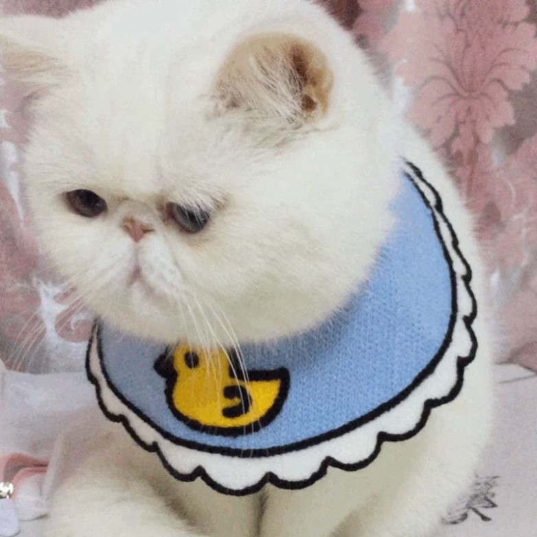 gg4 Yếm đeo cổ dễ thương phong cách Hàn Quốc dành cho thú cưng