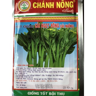 Hạt giống cải ngồng (cái ngọt bông)