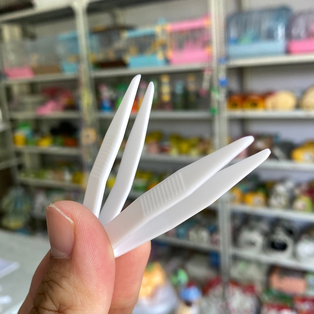 Nhíp kẹp gắp đồ ăn cho hamster, sóc, bọ, nhím