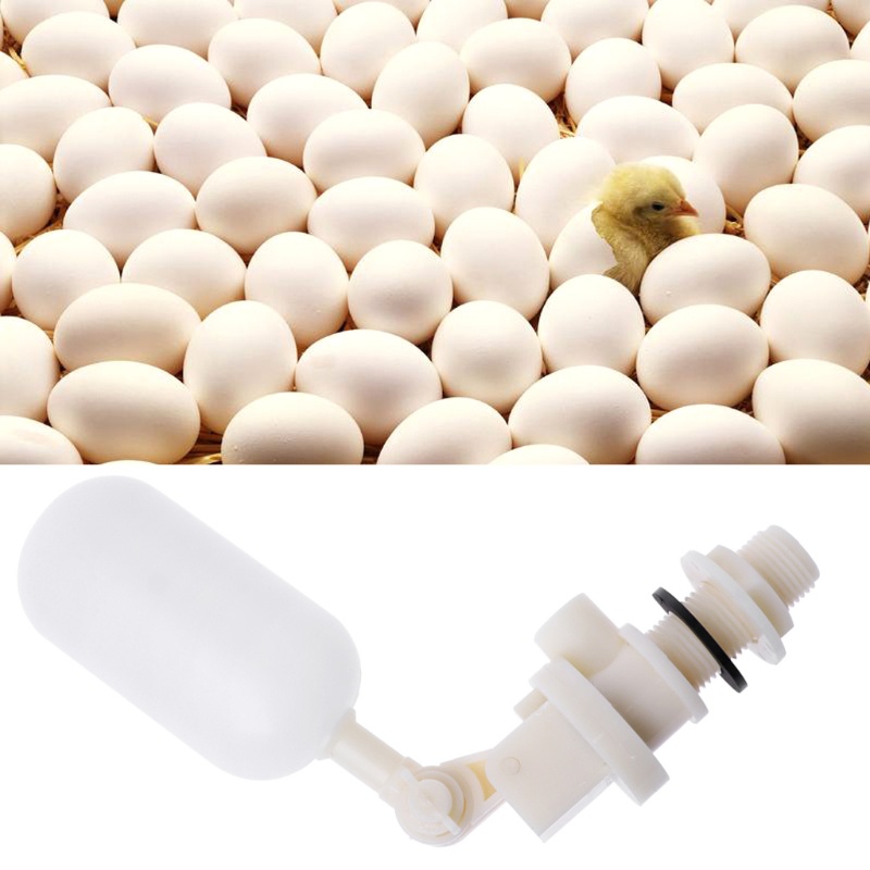 Bộ 1 / 2 Van Nổi Có Thể Điều Chỉnh Cho Bể Nước / Ngựa / Cừu / Cừu