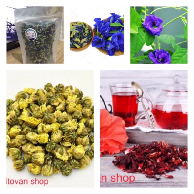 Gói trà hoa đậu biếc và các loại trà hoa khác đồng giá Khối lượng từ 20g đến 80g tuỳ loại