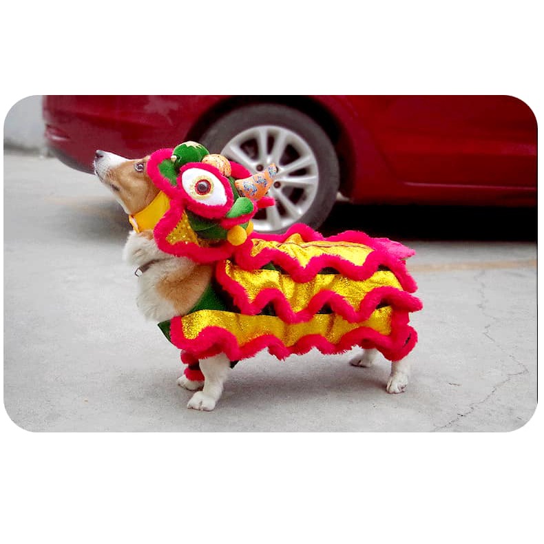 Bộ trang phục múa lân đáng yêu dành cho thú cưng , Lân Đầu Rời.