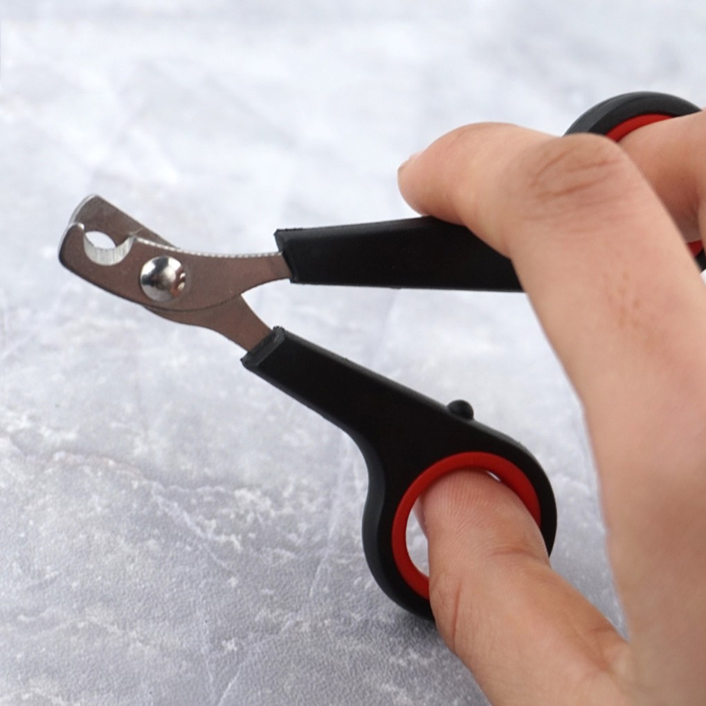 Small PP Pet Bird Toe Claw Stainless Steel Grooming Nail Clippers Scissors Pet Safe Nail CHSG