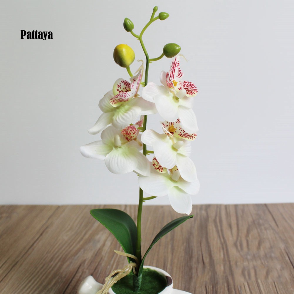 1 Cành Hoa Lan Giả Bằng Nhựa Dùng Trang Trí