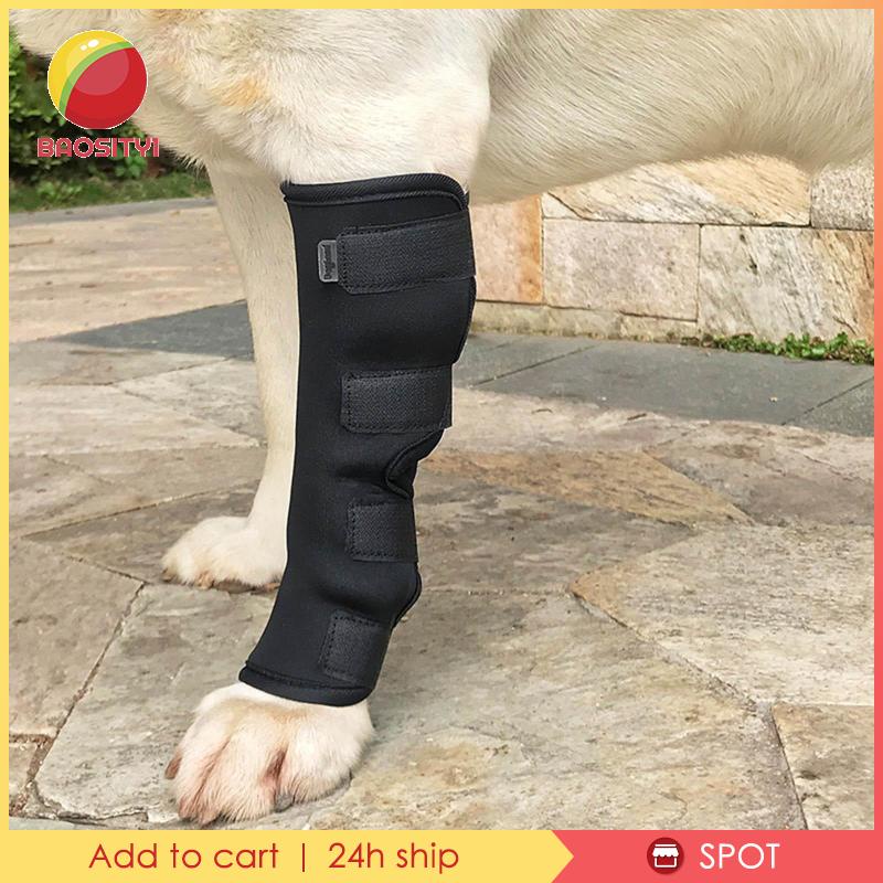 [Baosity 1] Băng Quấn Bảo Vệ Khuỷu Tay Đầu Gối Cho Thú Cưng