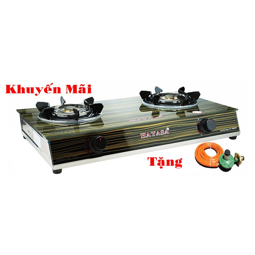 Bếp ga Hayasa Ha-8020