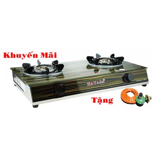Bếp ga Hayasa Ha-8020