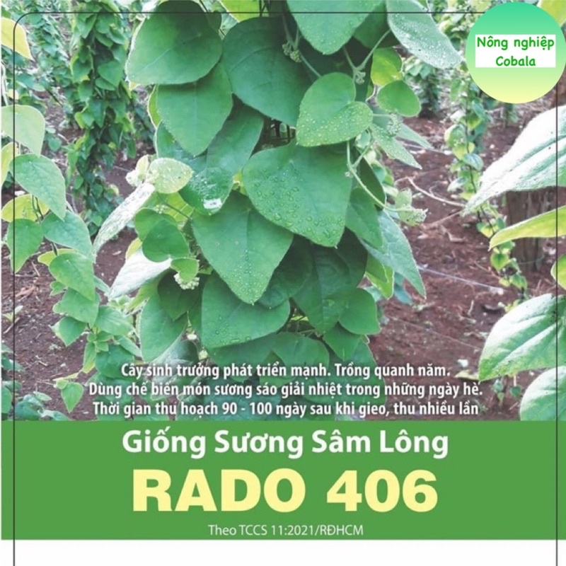 Hạt Giống Sương Sâm Lông (406) 0.5gr