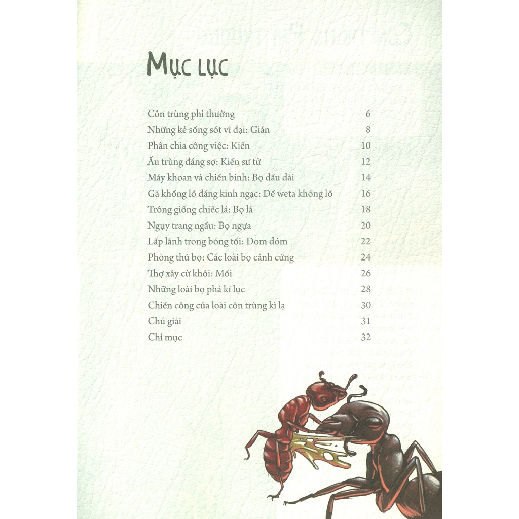 Sách - Những Loài Bọ Phá Kỷ Lục - Côn Trùng Đáng Kinh Ngạc - Matt Turner, Santiago Calle
