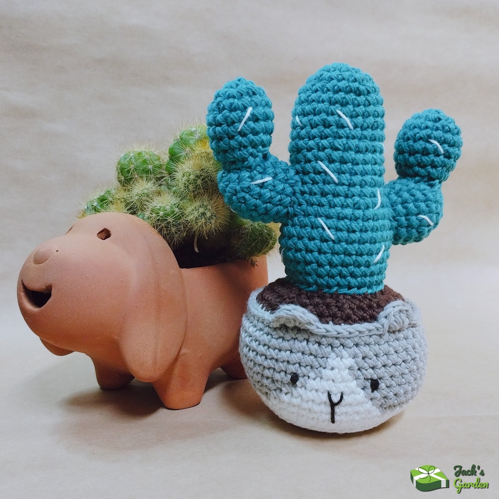 Chậu xương rồng trang trí bàn bằng len handmade