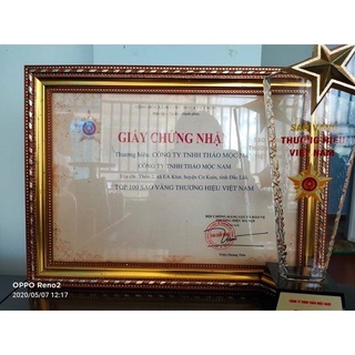 CHÈ GIÃN TĨNH MẠCH THẢO MỘC NAM