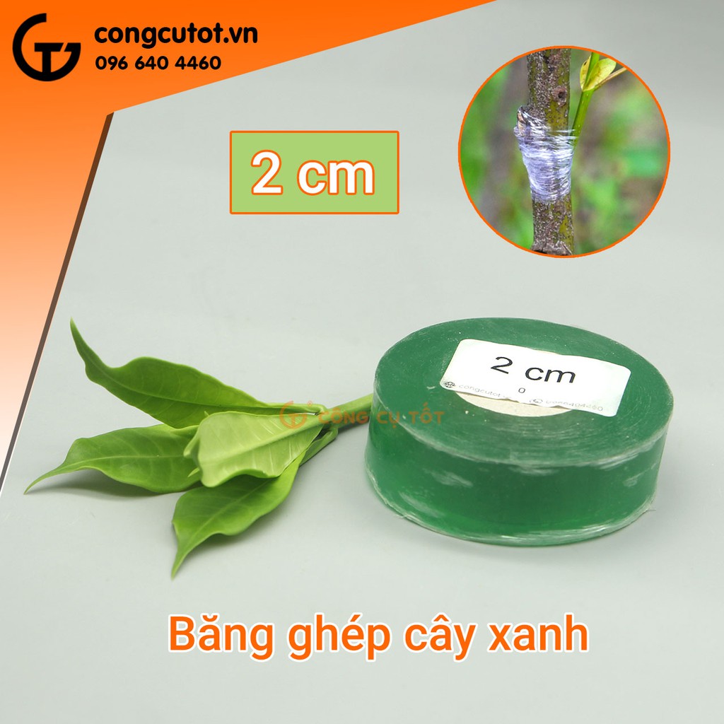 Băng keo ghép cây xanh tự dính tự hủy giúp bảo vệ mối ghép