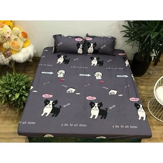SET GA GỐI COTTON POLY THOÁNG MÁT