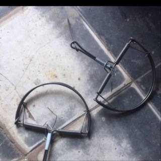 Bẫy chuột bán Nguyệt loại trung đường kính 13cm