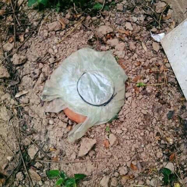 Cốt Gừng Nghệ Hạ Thổ 3 Tháng 10 Ngày chai 500ml | BigBuy360 - bigbuy360.vn