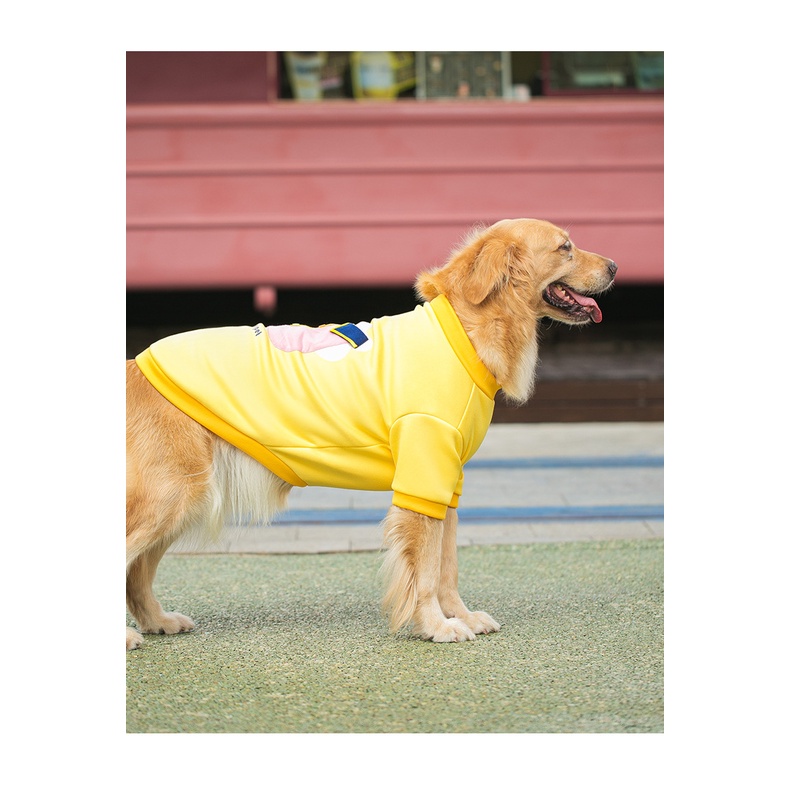 áo nỉ giả POLO dành cho chó giống lớn
