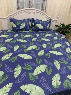 sét ga gối hàn quốc