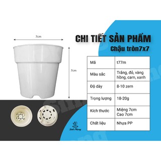 Chậu tròn 7x7 nhiều màu (Set 100 cái).