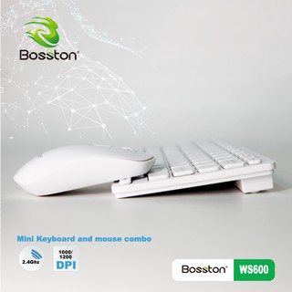 Combo Bàn Phím Không Dây Mini Bosston WS600