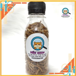 Sâu rang bơ thức ăn dinh dưỡng vỗ béo cho các bé hamster, thức ăn hamster tốt nhất