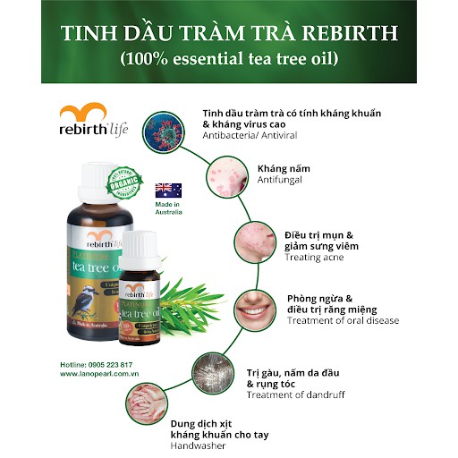 Tinh dầu tràm trà kháng khuẩn Rebirth Life