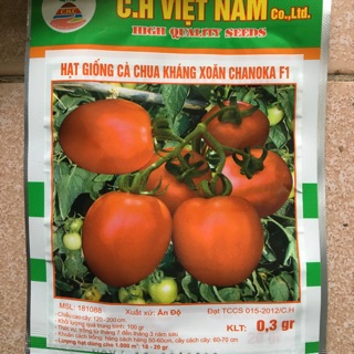 HẠT GIỐNG CÀ CHUA QUẢ TO F1