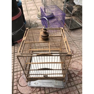 lồng đấu chào mào gỗ muồng