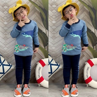 Combo Bộ dài tay bé trai