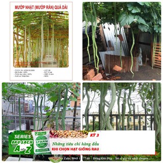 Hạt giống mướp rắn 10 hạt