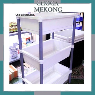 Khay 3 tầng nuôi cá guppy đủ màu Trắng Xanh Đen giá rẻ