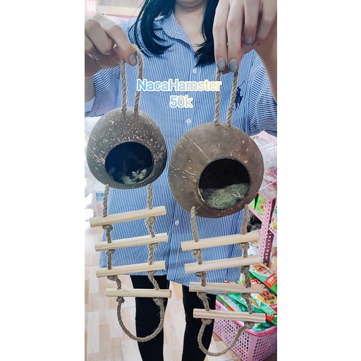 Nhà ngủ gáo dừa có thang leo
