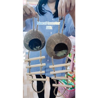 Nhà ngủ gáo dừa có thang leo