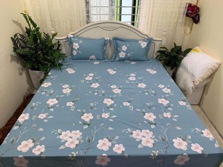Sét ga gối cotton Hàn m6*2m