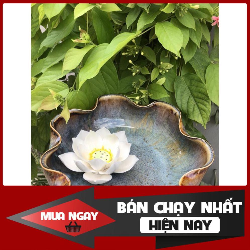 [SP BÁN CHẠY] Bát sen thả hoa- Minh Đường Tụ Thủy hoa men nâu mới