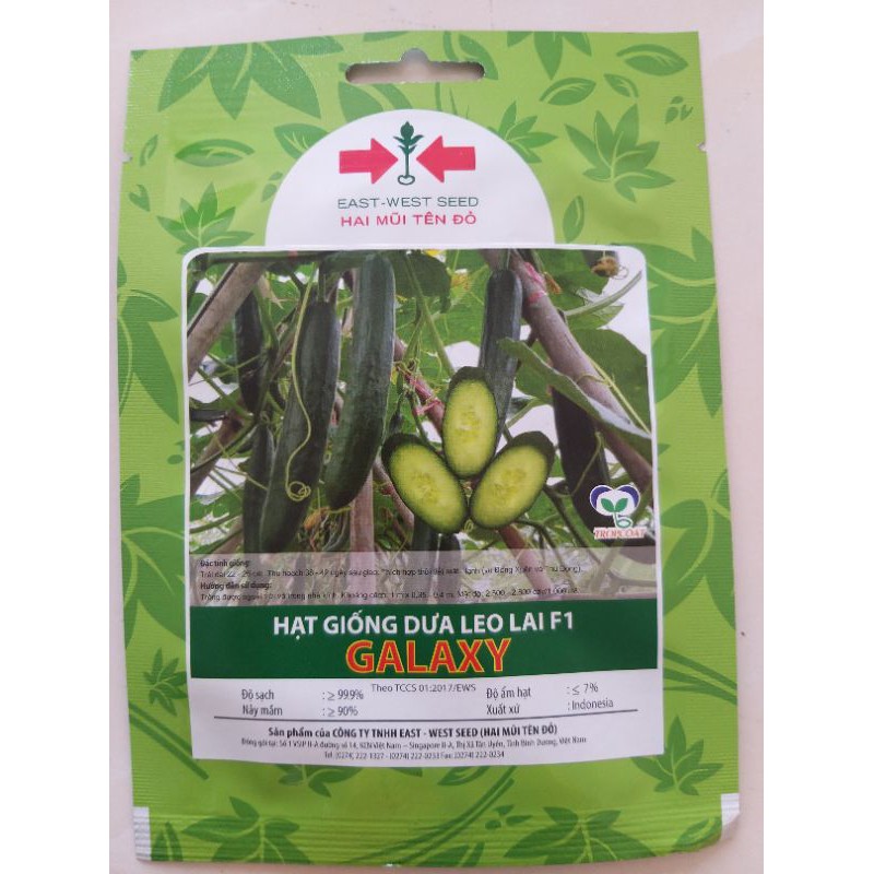 Hạt giống dưa leo lai F1 Galaxy Hai Mũi Tên Đỏ gói 6 hạt