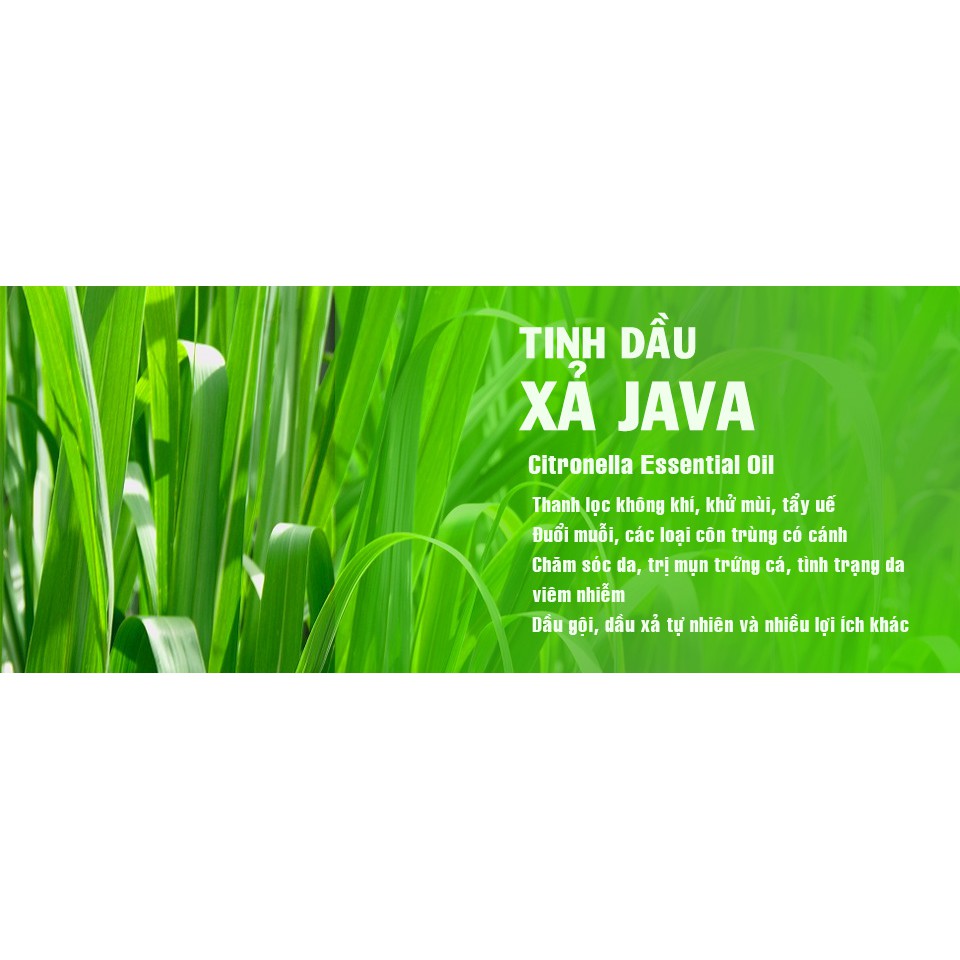 Tinh dầu sả Java nguyên chất, hương thơm, khử mùi, diệt khuẩn, đuổi muỗi và côn trùng nguyên chất: Tặng lục lăng treo xe