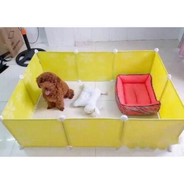 Combo bộ quây và khay vệ sinh cho chó