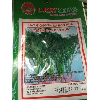 Hạt giống thì là