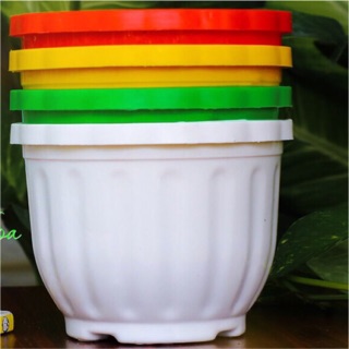 Chậu nhựa treo đủ màu